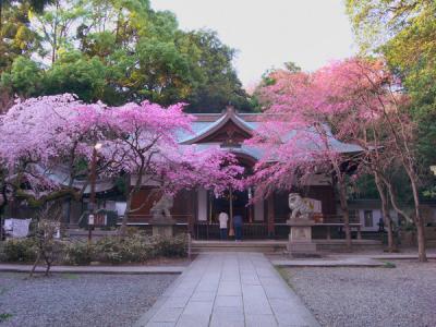 保久良神社 拝殿