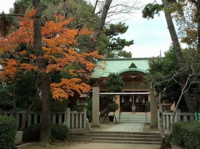 須佐男神社 鳥居と拝殿