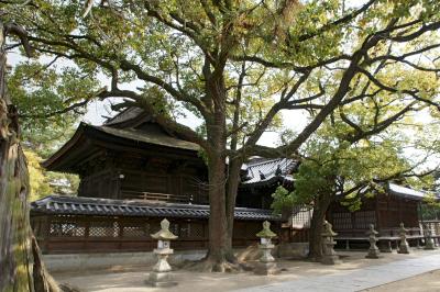 高砂神社 拝殿と本殿