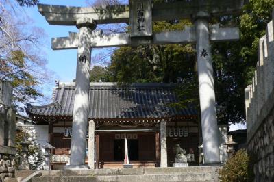 川面神社 鳥居と拝殿