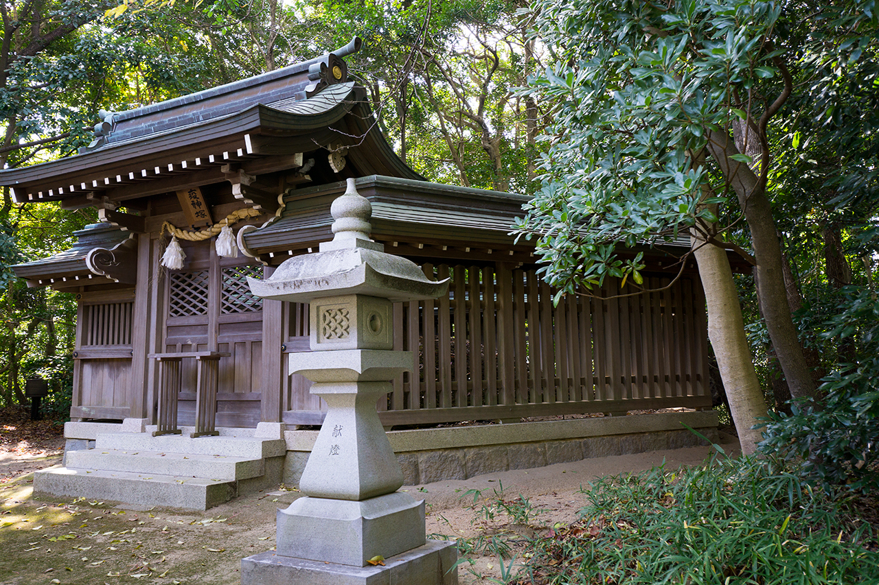 疫神祭塚社殿からみえる木