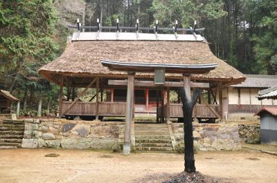 上鴨川住吉神社 鳥居と割拝殿