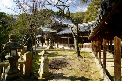 大避神社 社殿