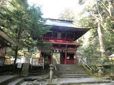 花園神社 楼門