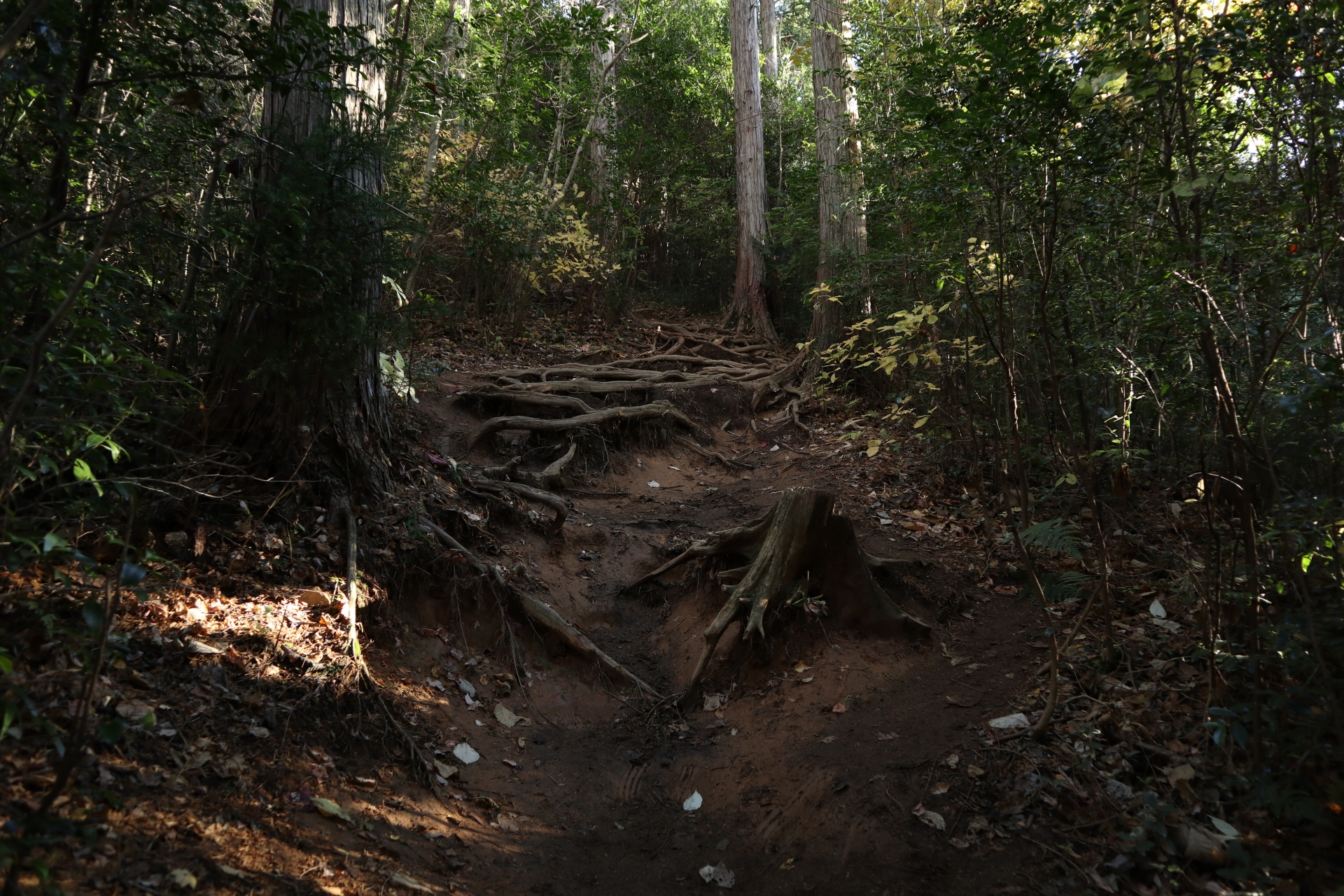 御岩山から山道
