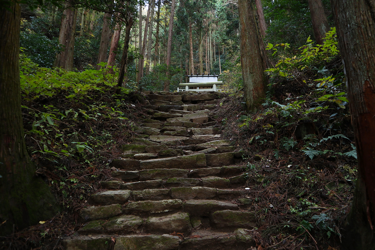 石段から見えるかびれ神宮