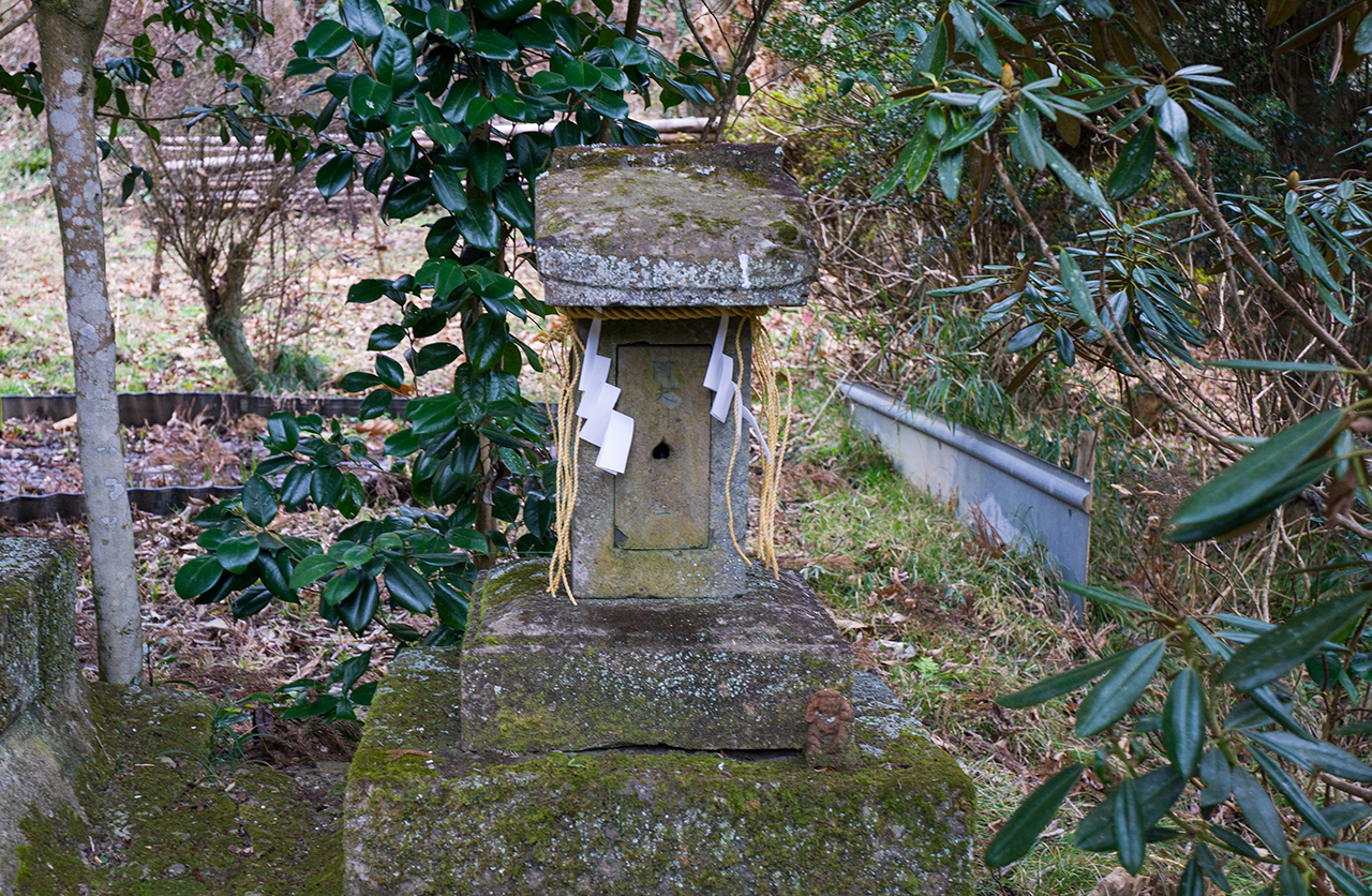 阿夫利神社 社殿