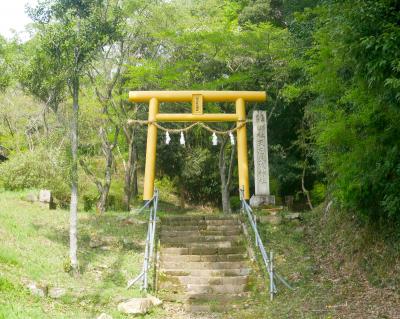 天志良波神社 鳥居