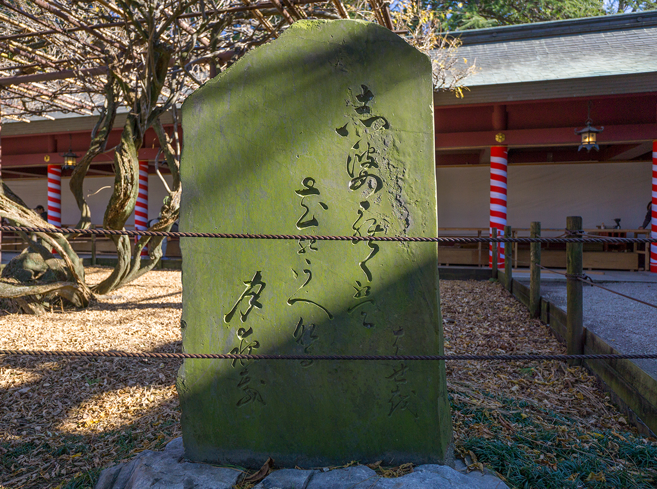松尾芭蕉の句稗