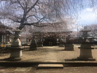 結城諏訪神社 拝殿