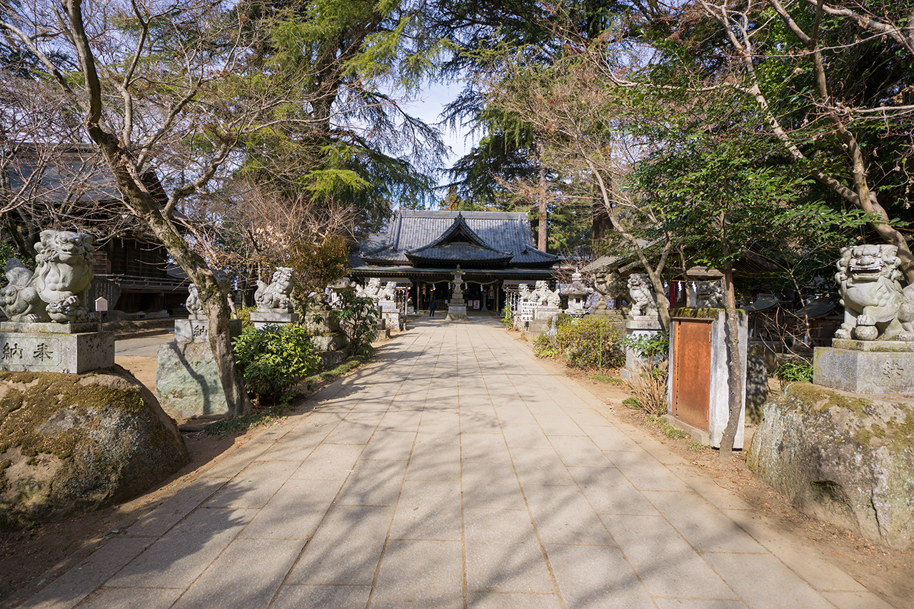 参道上の狛犬たち