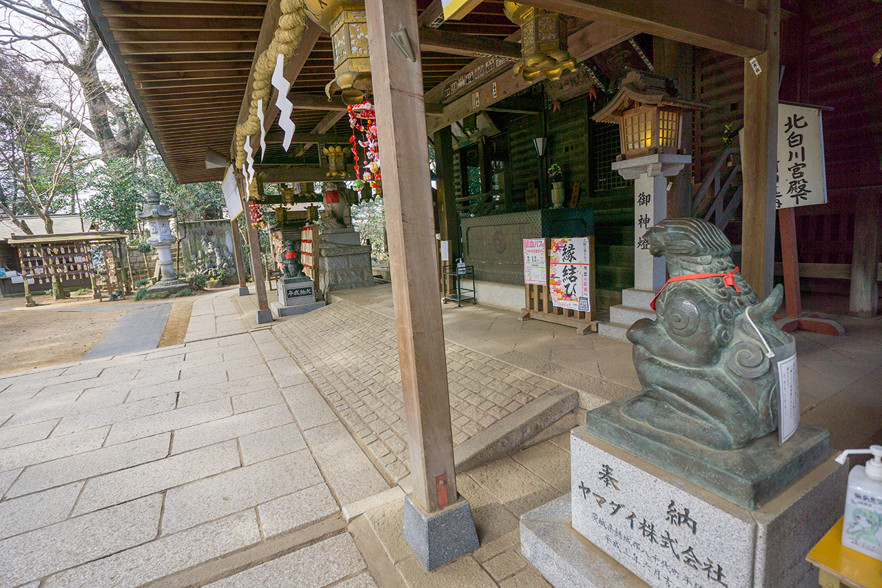 拝殿前の平成狛犬