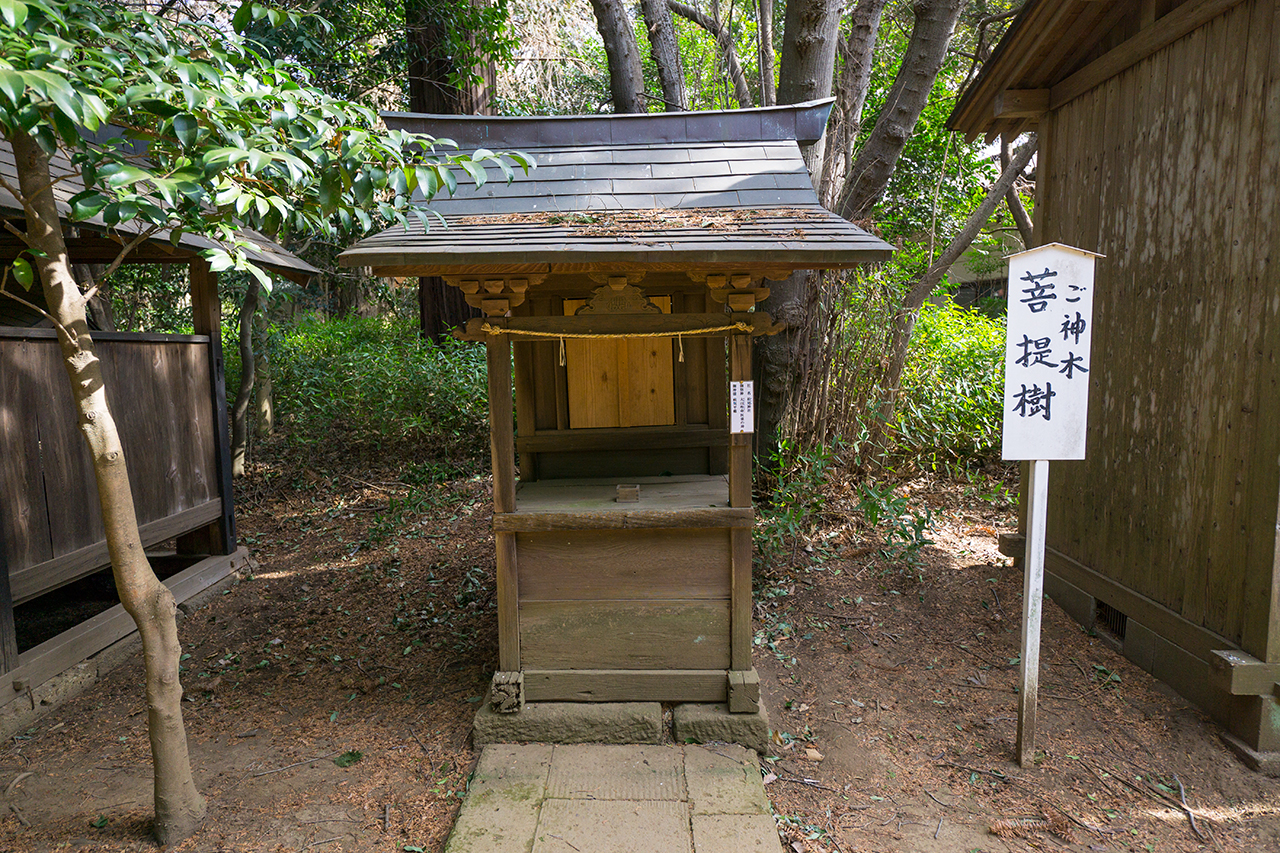 松尾神社 社殿