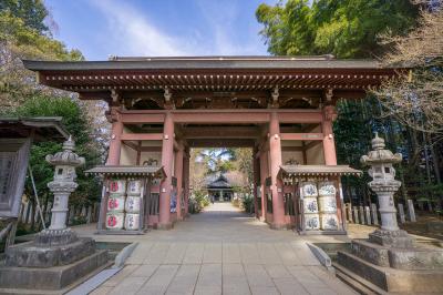 大寳八幡宮 随身門