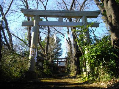 頼政神社 鳥居と拝殿