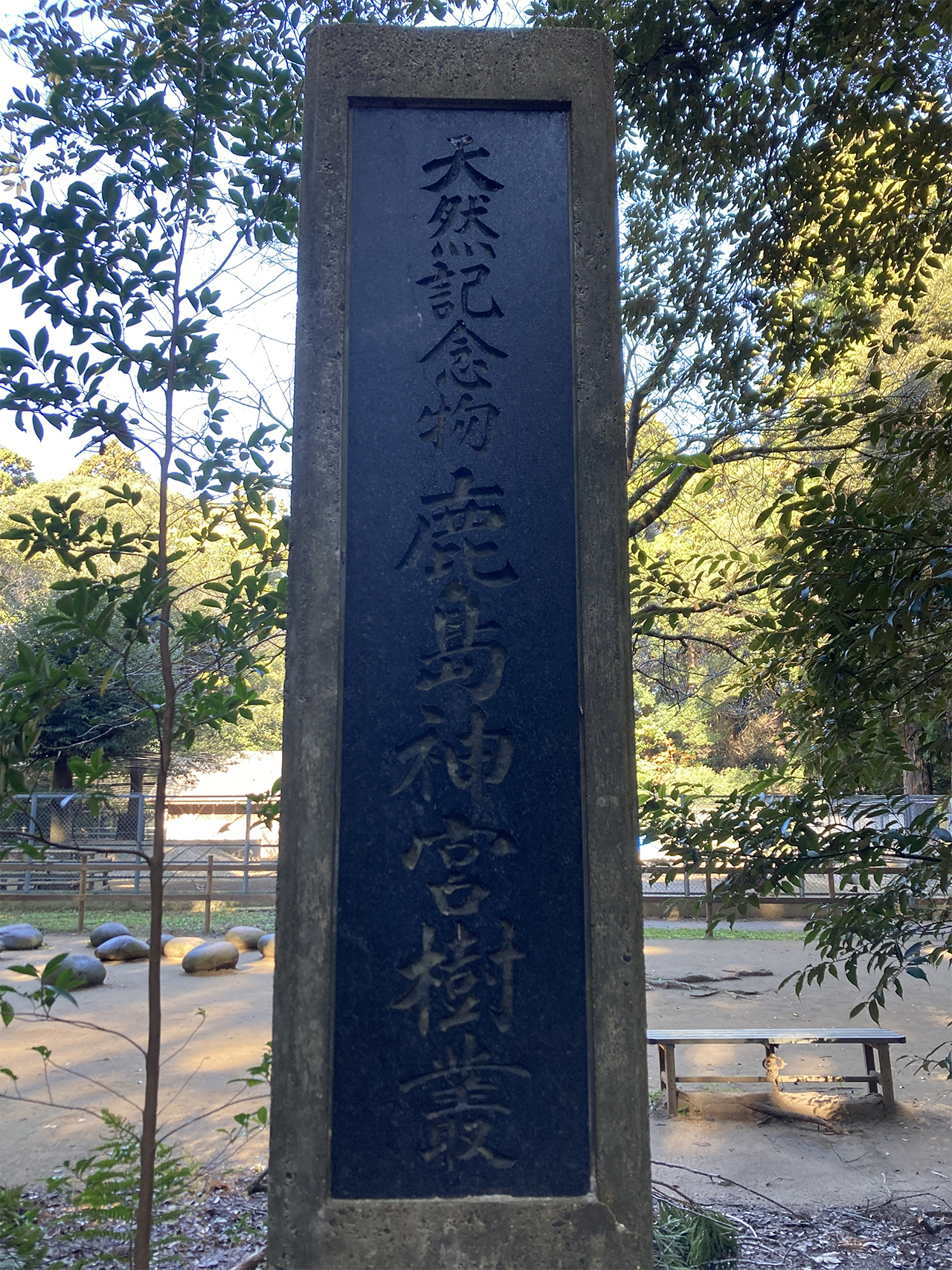 天然記念物指定碑