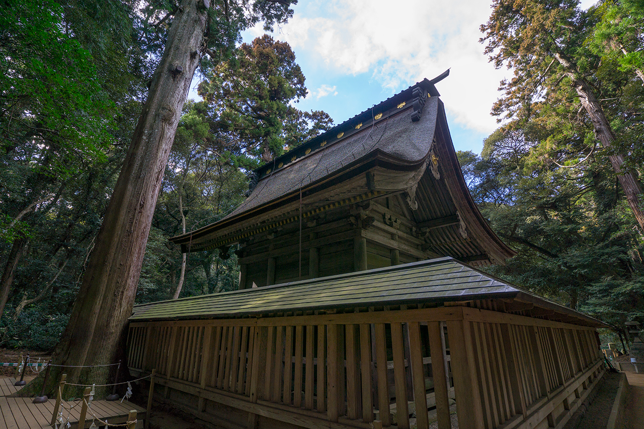 奥宮 御神木と社殿