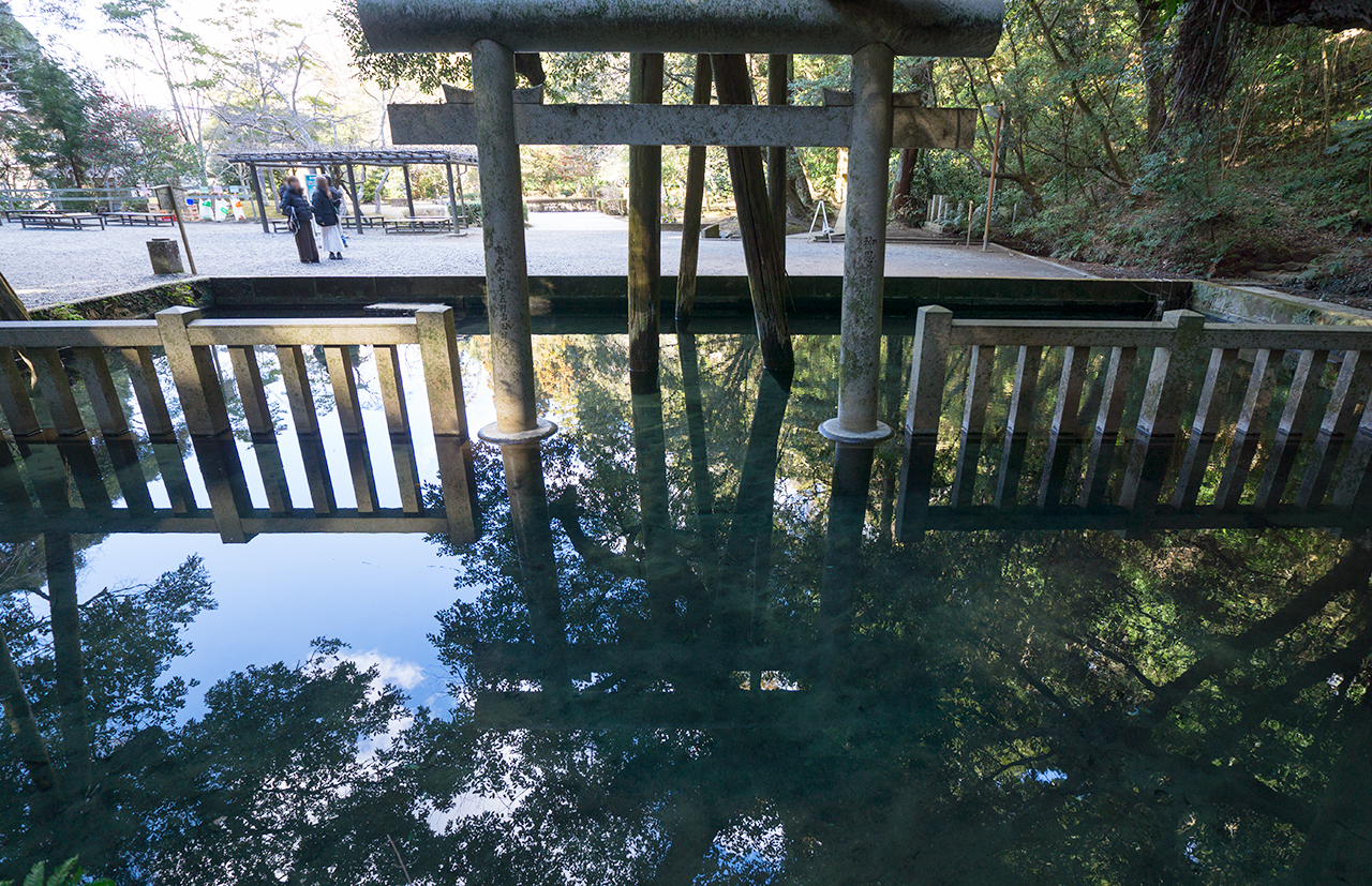 御手洗池 裏面