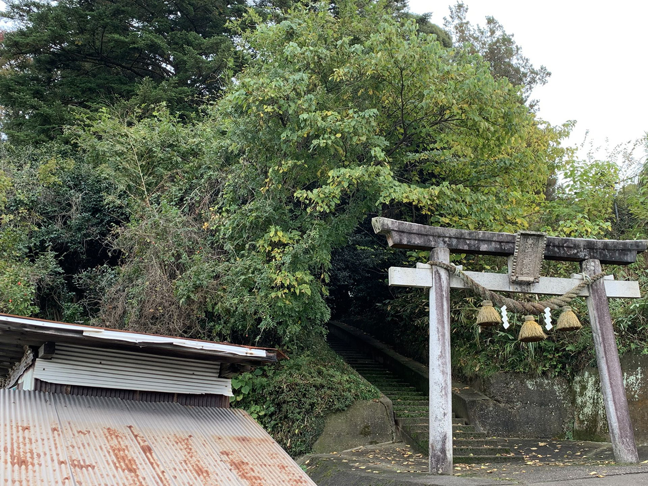 鳥居