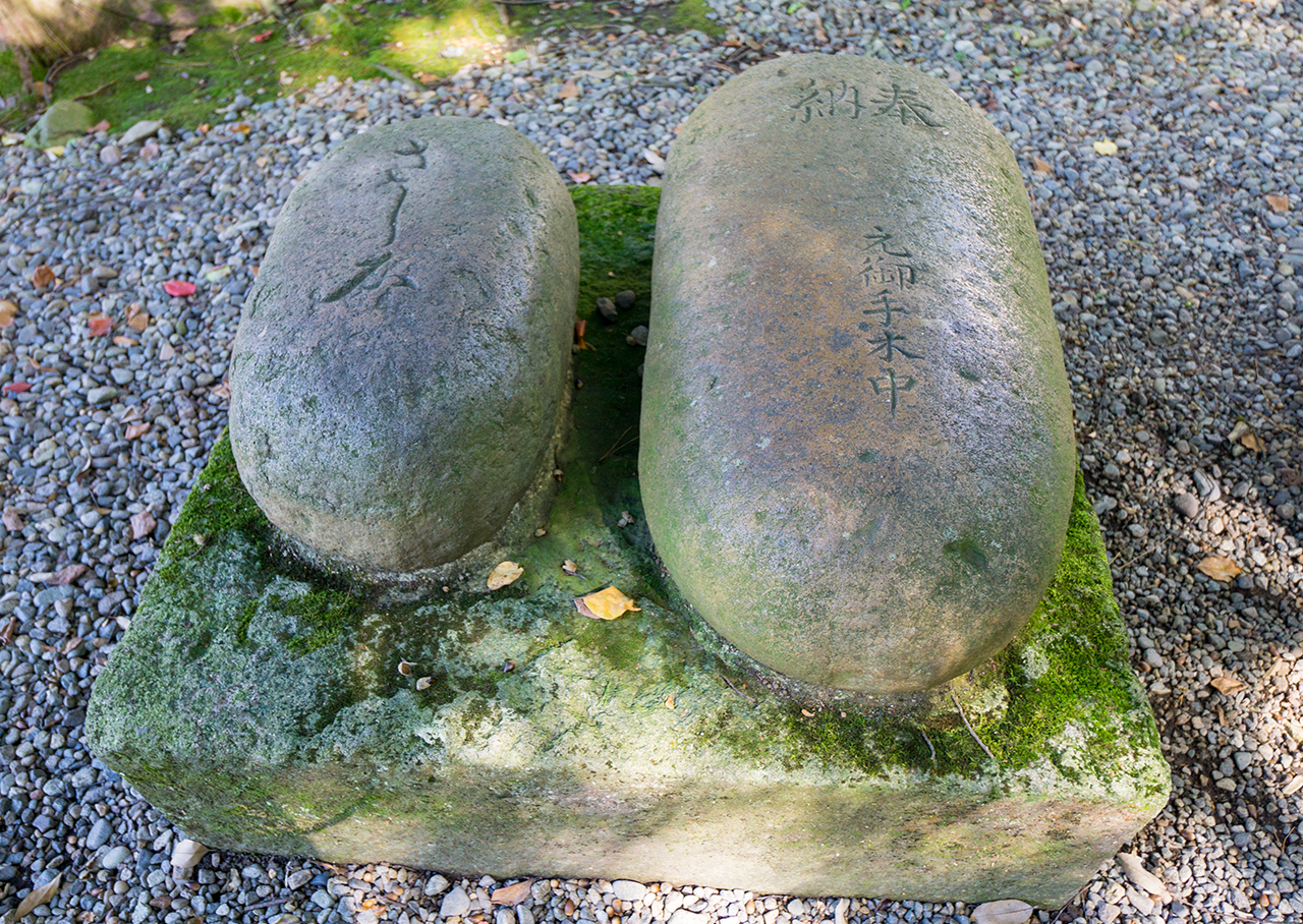 尾山神社 さし石