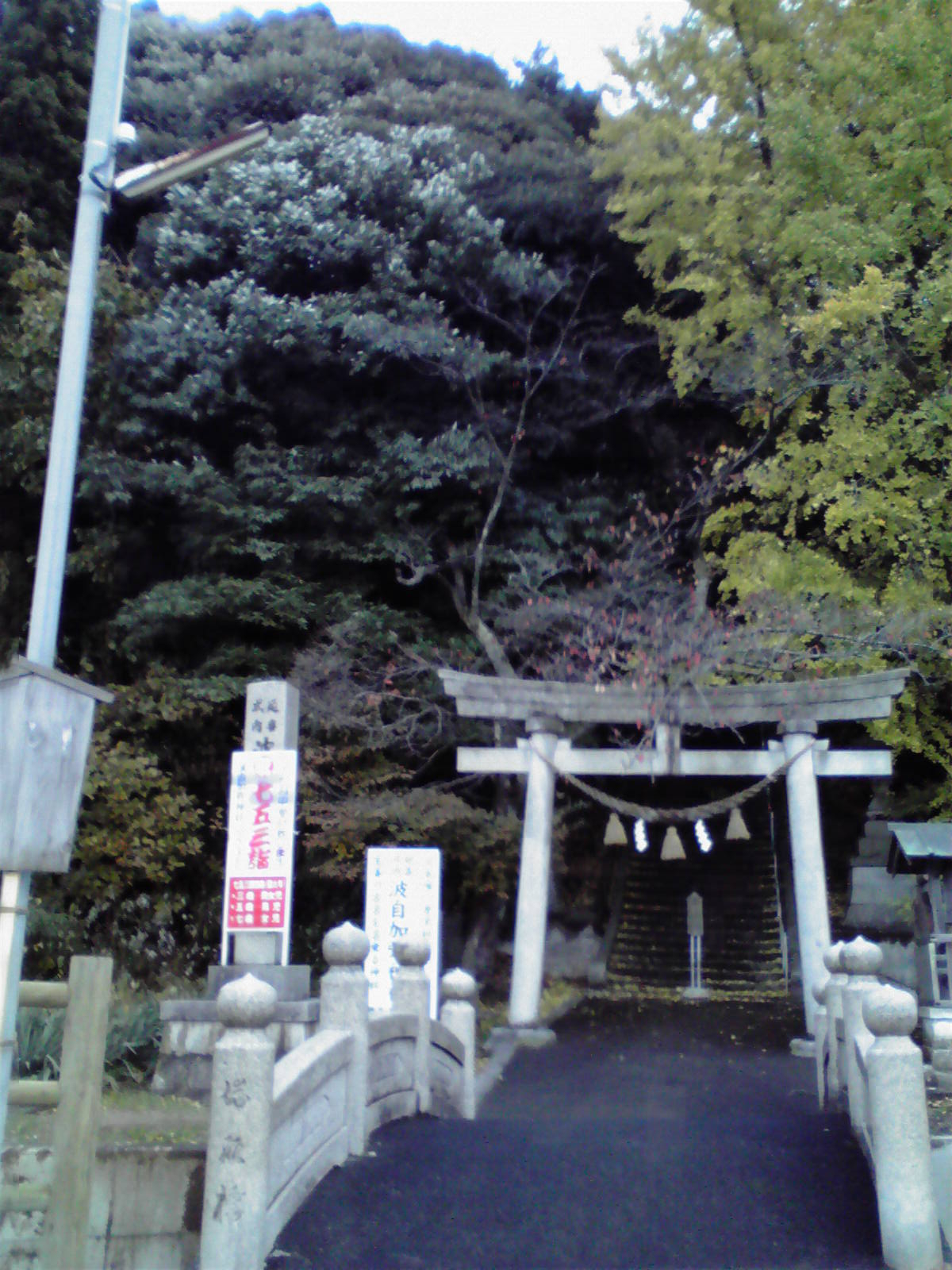 波自加彌神社 鳥居