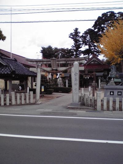 白鳥神社 鳥居と拝殿