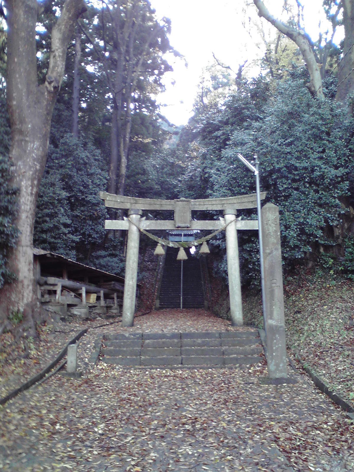 鳥居と参道