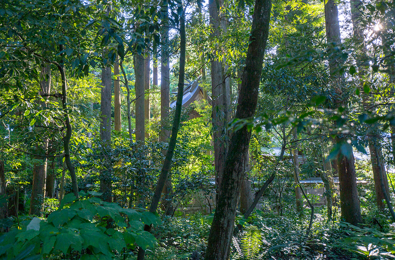 白山比咩神社 本殿