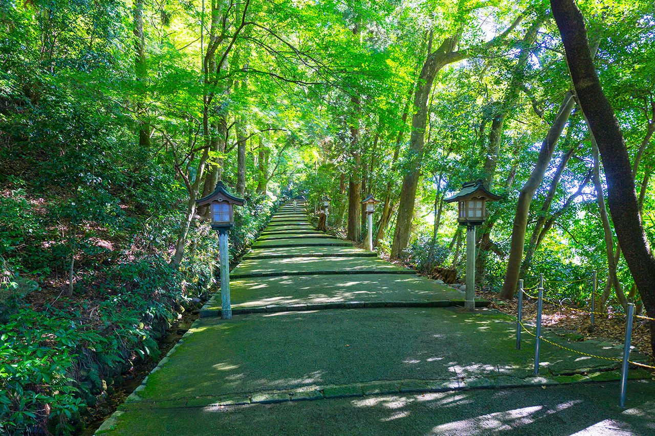 白山比咩神社 表参道