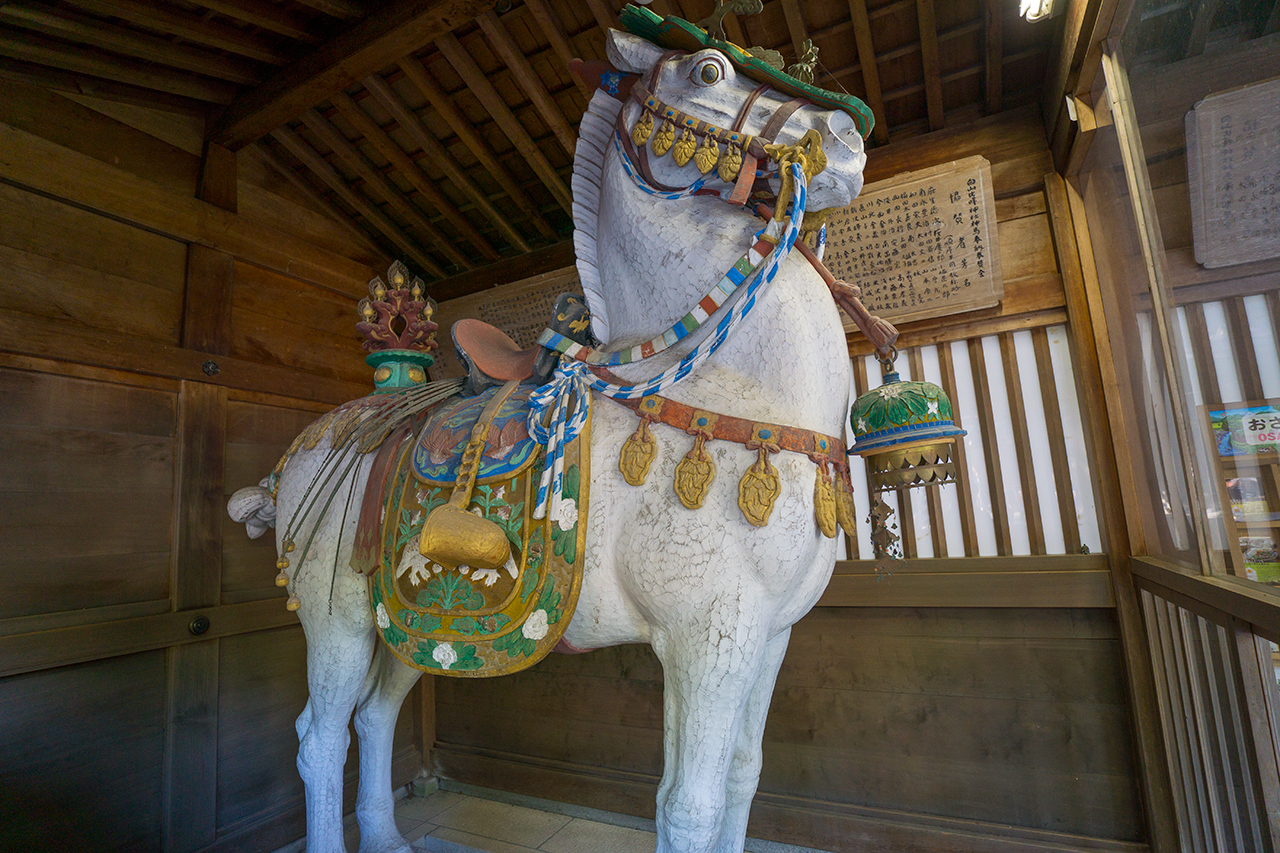白山比咩神社 神馬舎の白馬