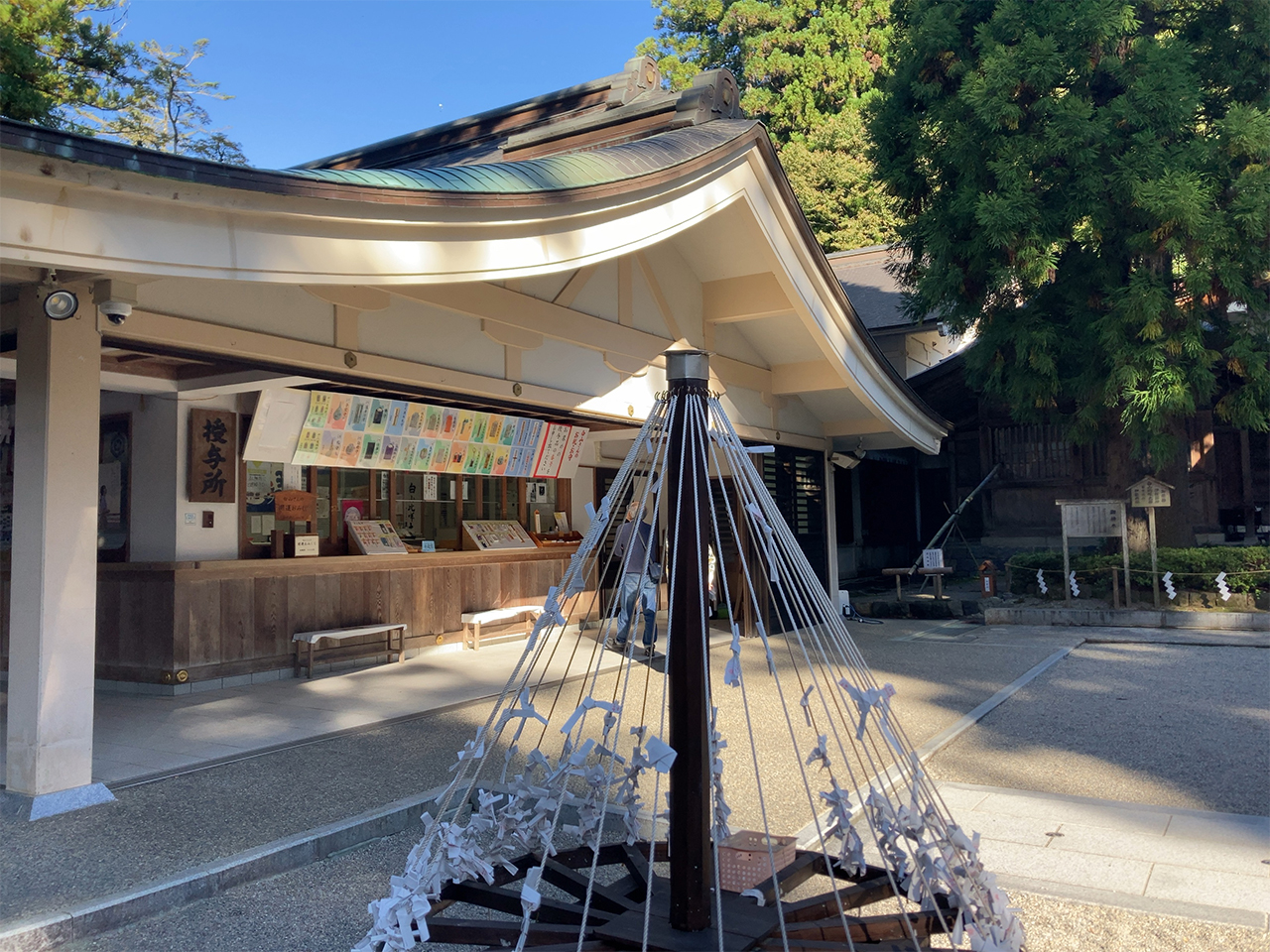白山比咩神社 おみくじ掛け
