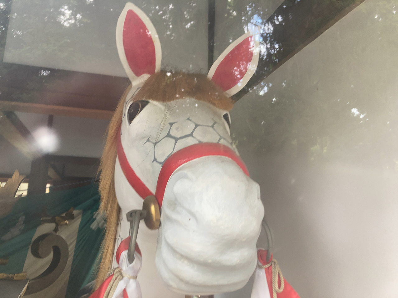 神馬舎内の白馬