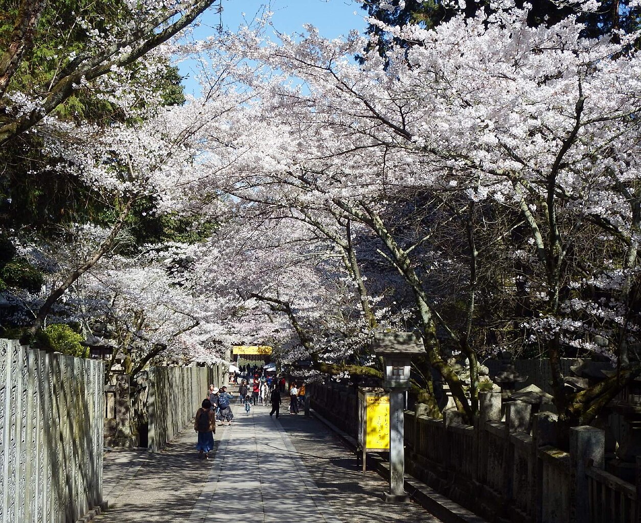 桜の馬場