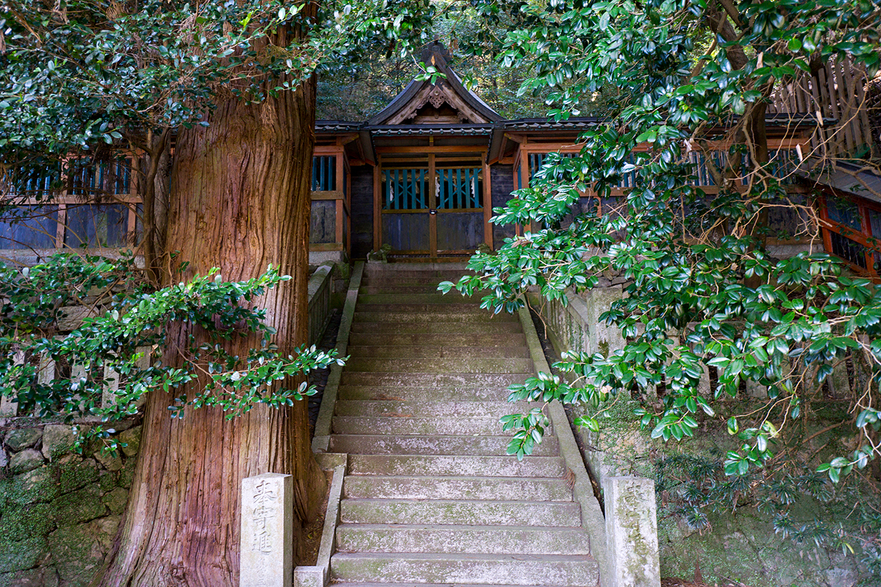 睦魂神社の門と社殿
