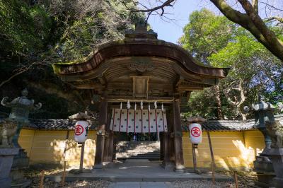 金刀比羅宮 賢木門