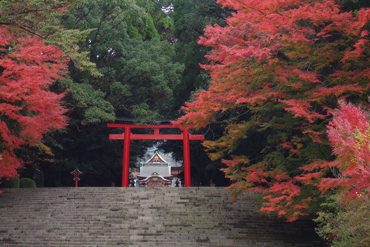 紅葉の霧島神宮