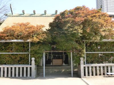 一之宮神社 拝殿