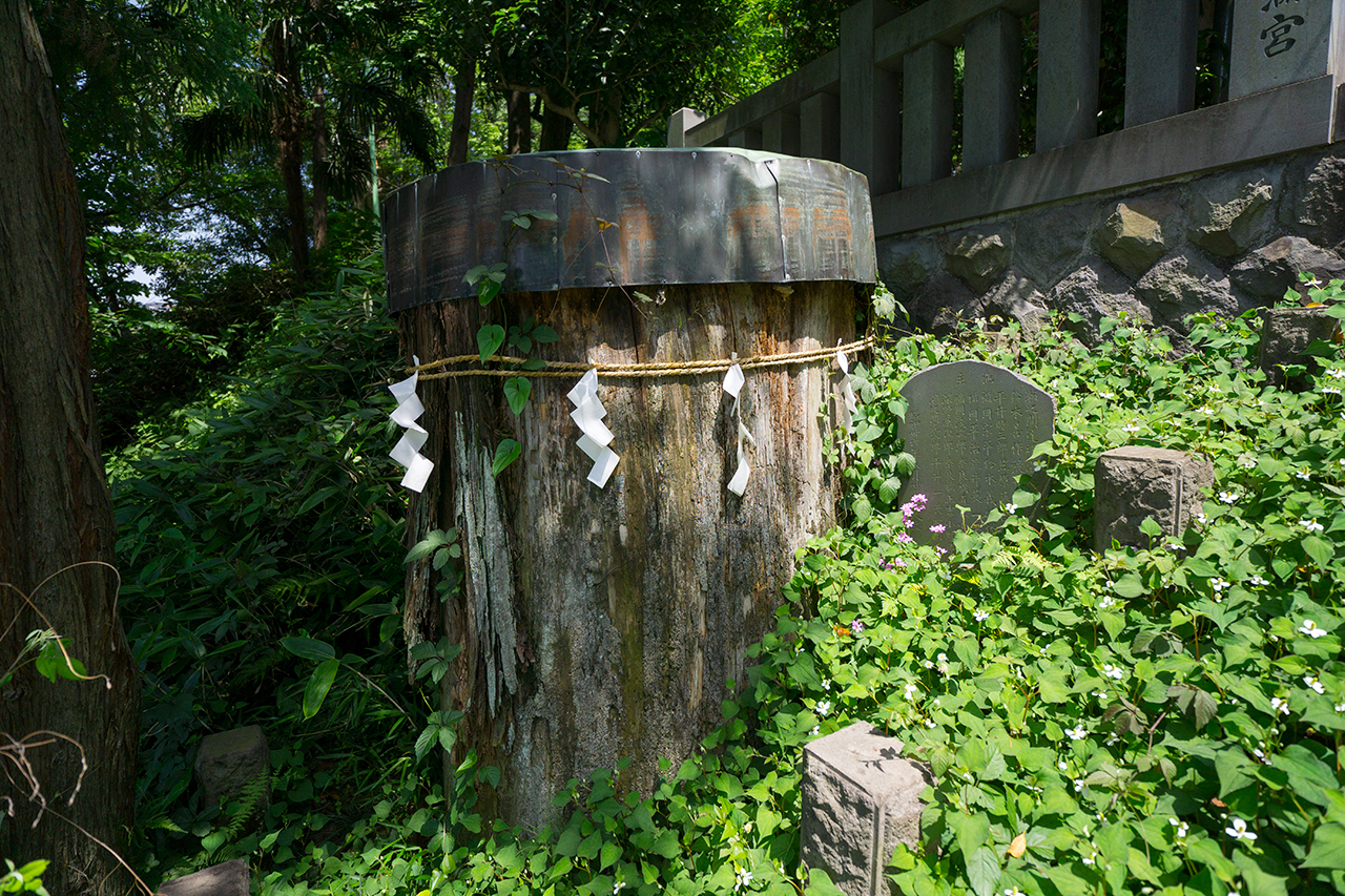 かつての御神木