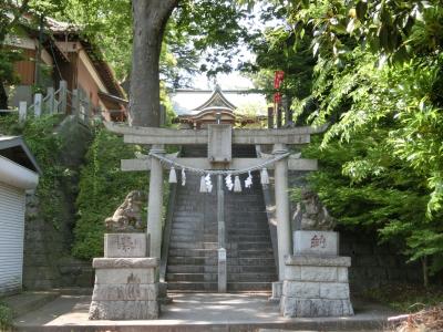 杉山神社 鳥居と拝殿