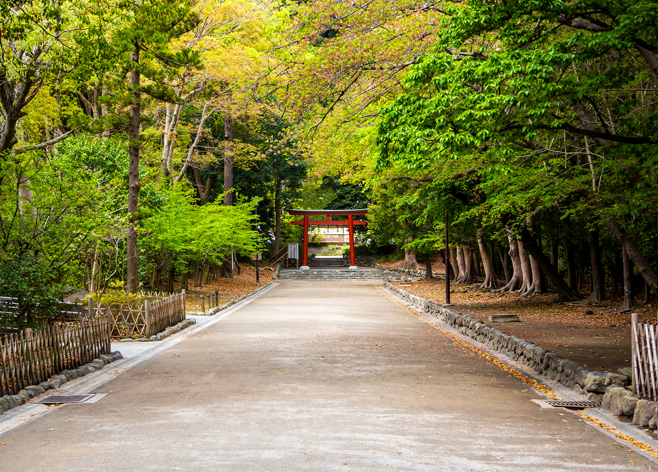 流鏑馬馬場