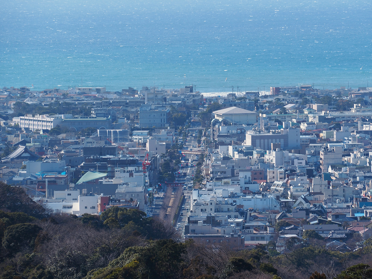 海までつづく若宮大路