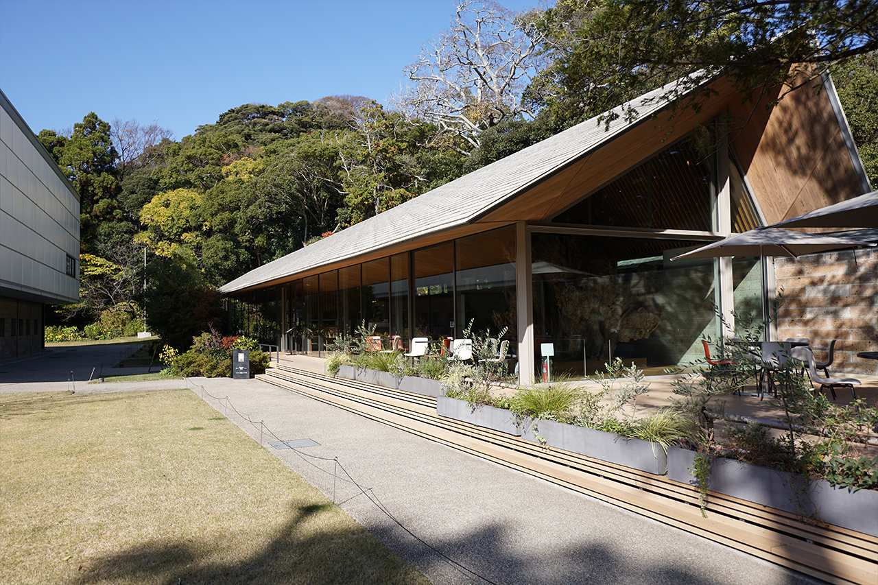鎌倉文華館・鶴岡ミュージアム併設のカフェ