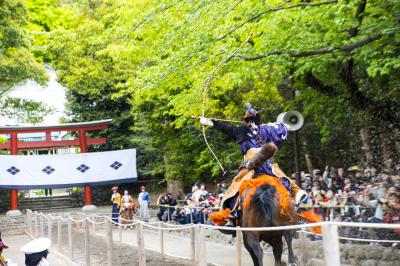 鶴岡八幡宮 流鏑馬