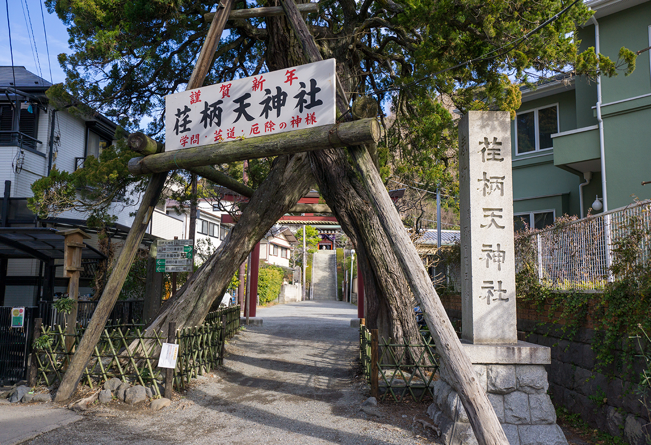 社標と木のトンネル