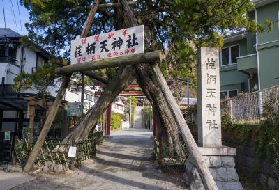 荏柄天神社 社標と木のトンネル