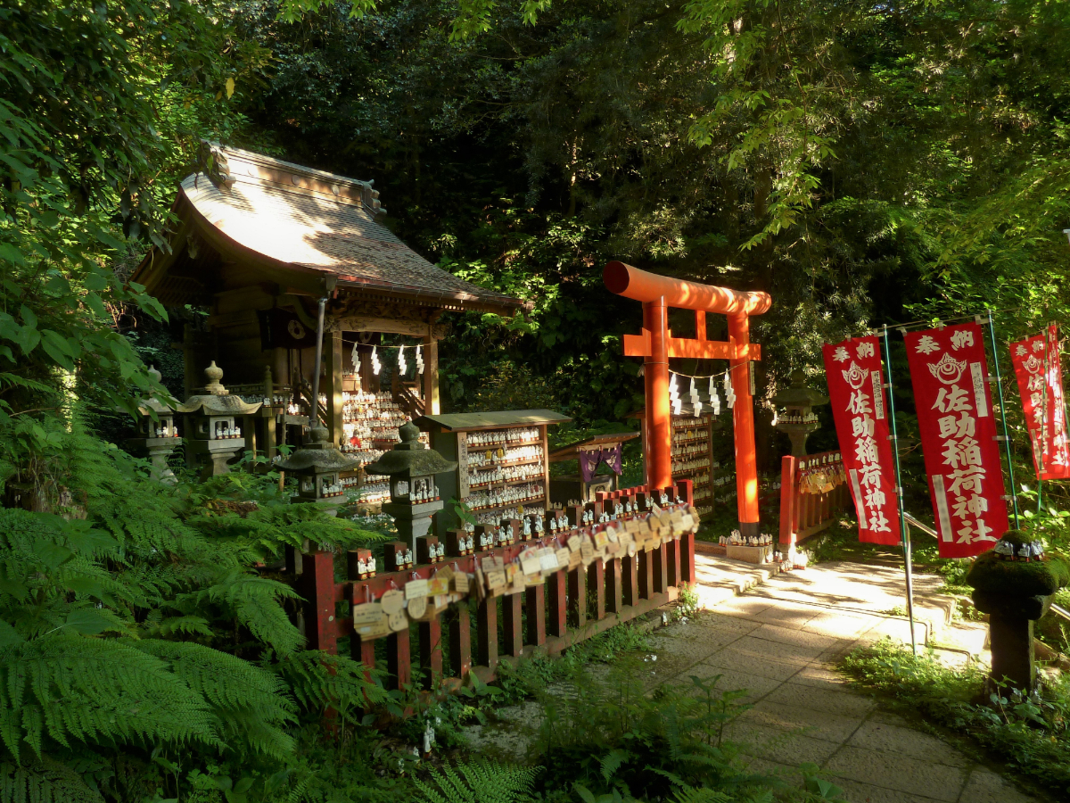 鳥居と拝殿