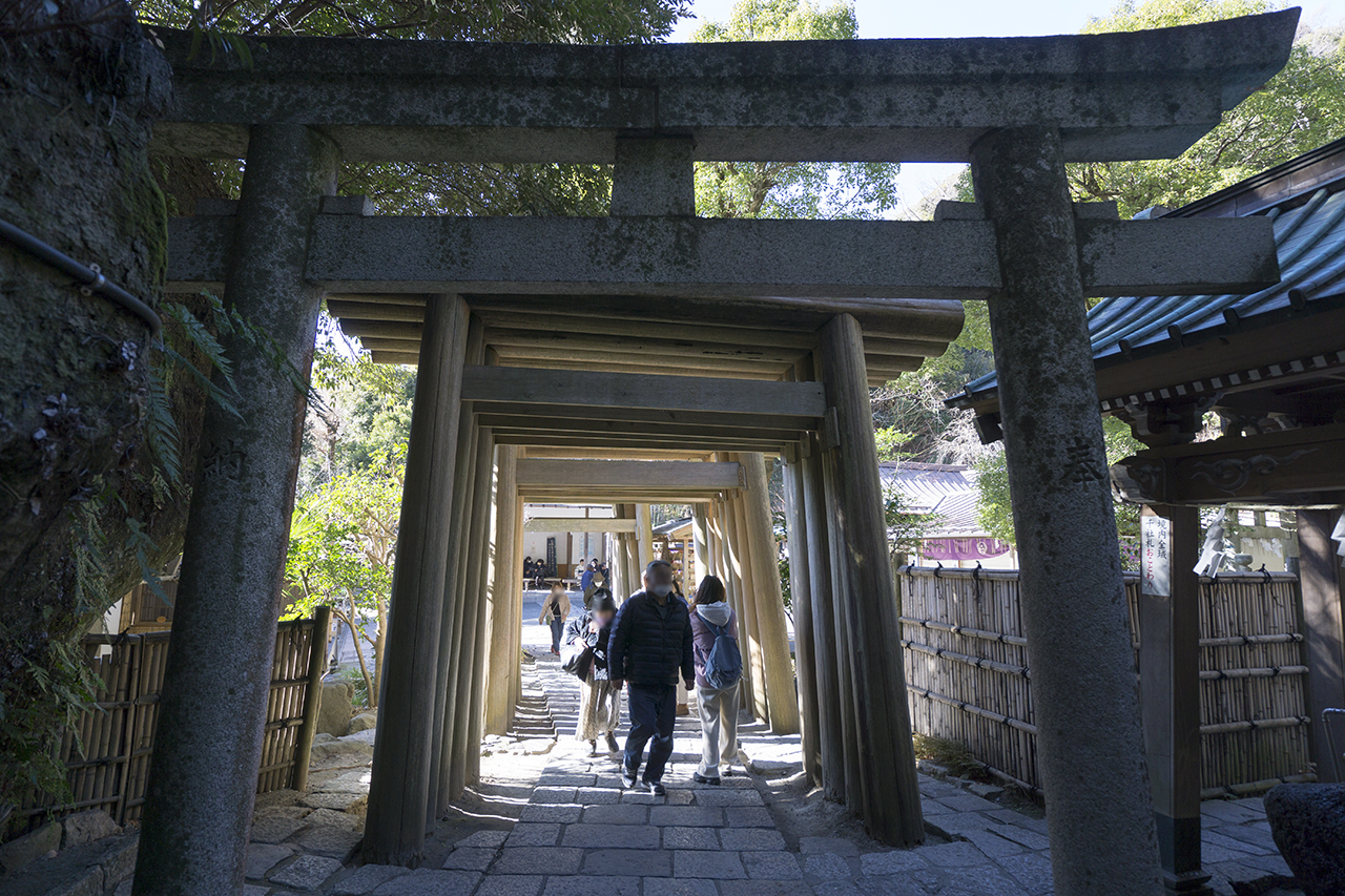連なる鳥居