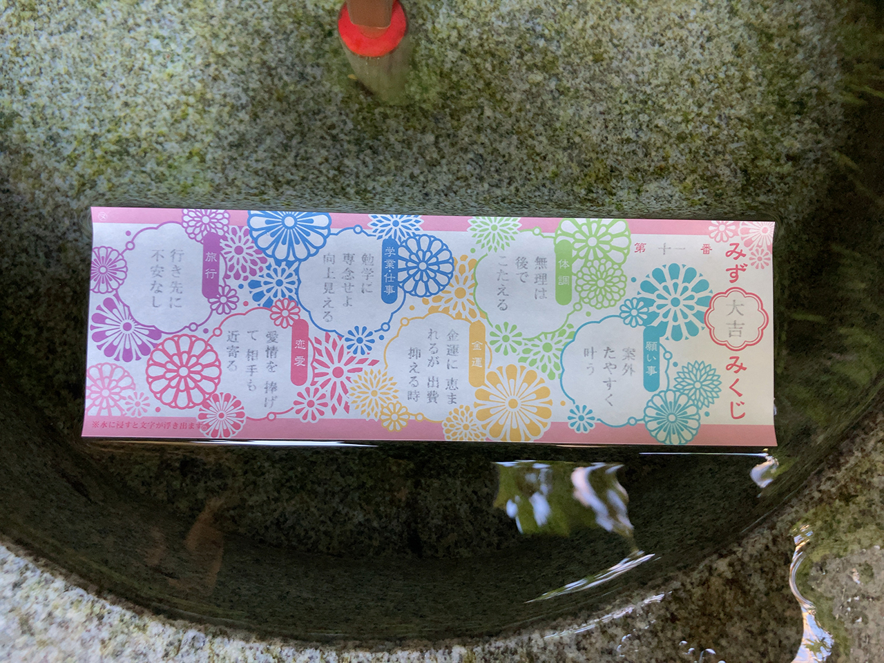 水に入れた水みくじ