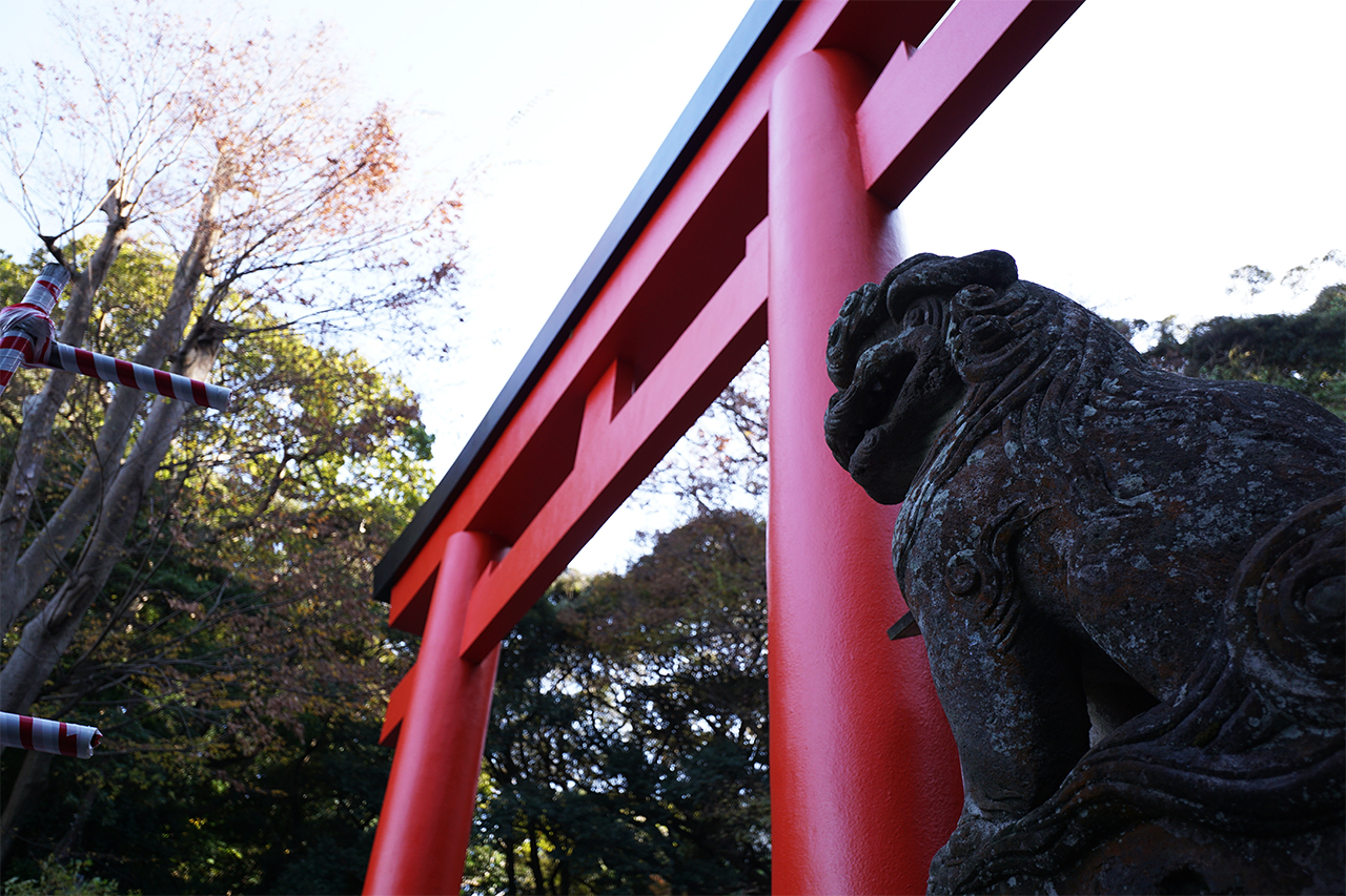 朱の鳥居と狛犬