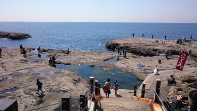 江島神社 稚児ヶ淵の岩場